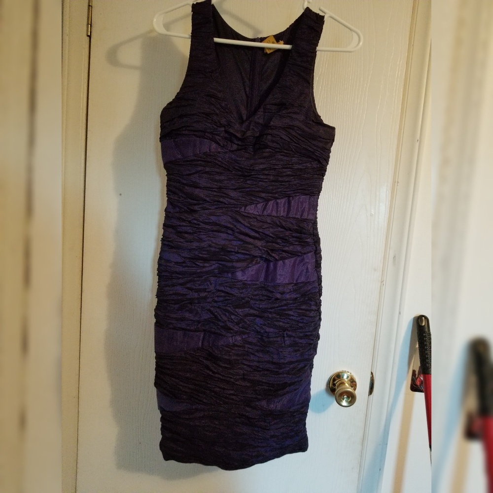 Purple and Black Dress